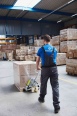 Hanselifter Hubwagen BF-Z verzinkt Gabellänge 1150mm Tragkraft 2000kg Hanselifter Hubwagen BF-Z verzinkt Gabellänge 1150mm Tragkraft 2000kg-small